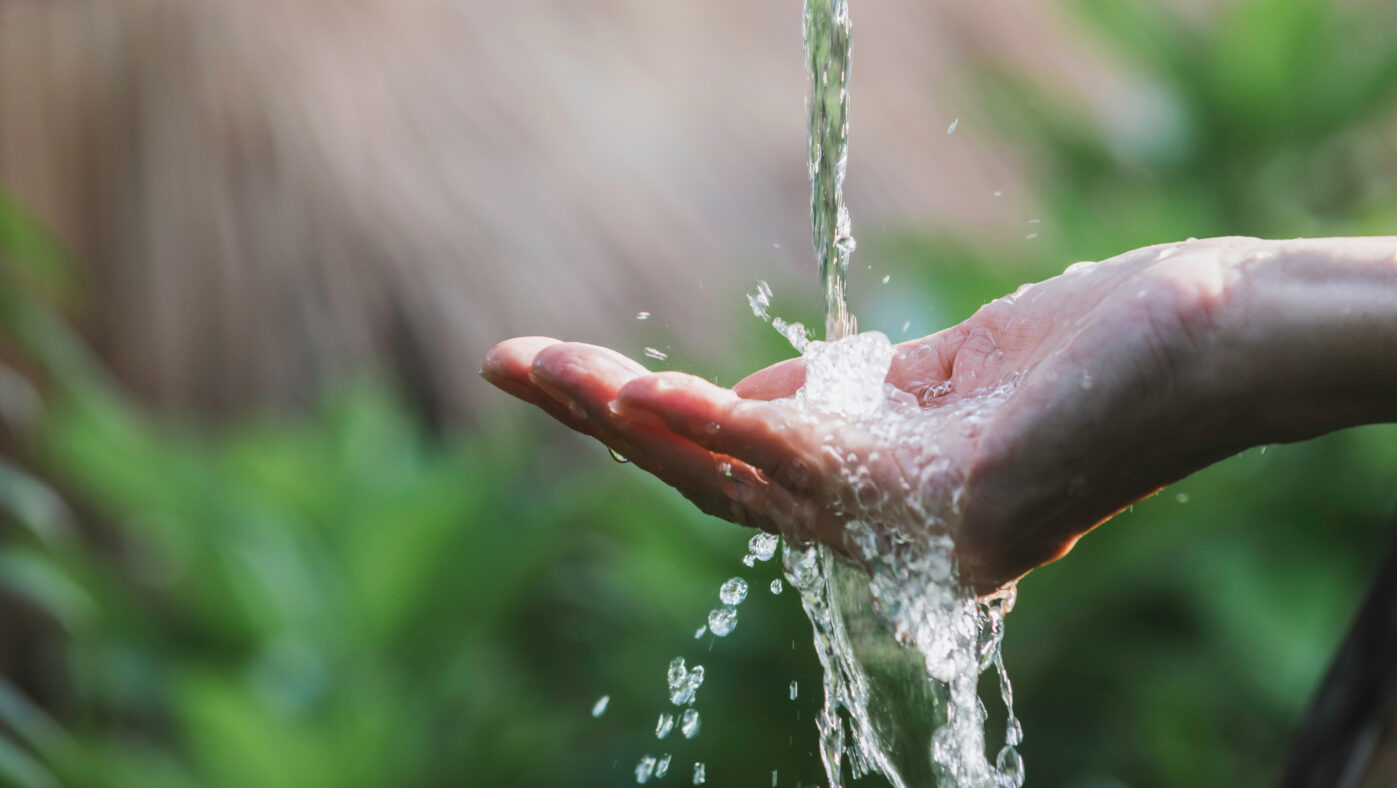 eau du robinet ou en bouteille